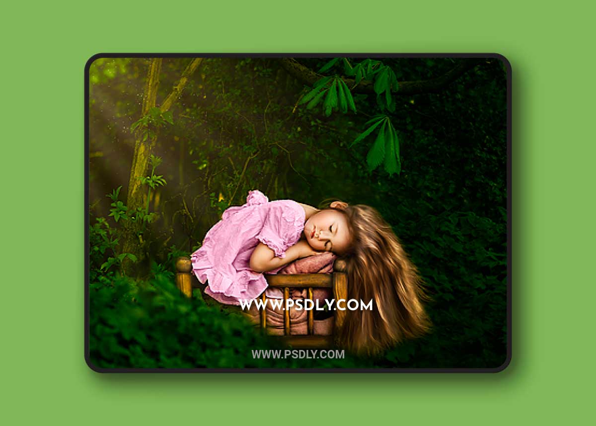 Sweet Soul Studio: Sundrenched greens 1 Sweet Soul Studio: Sundrenched greens