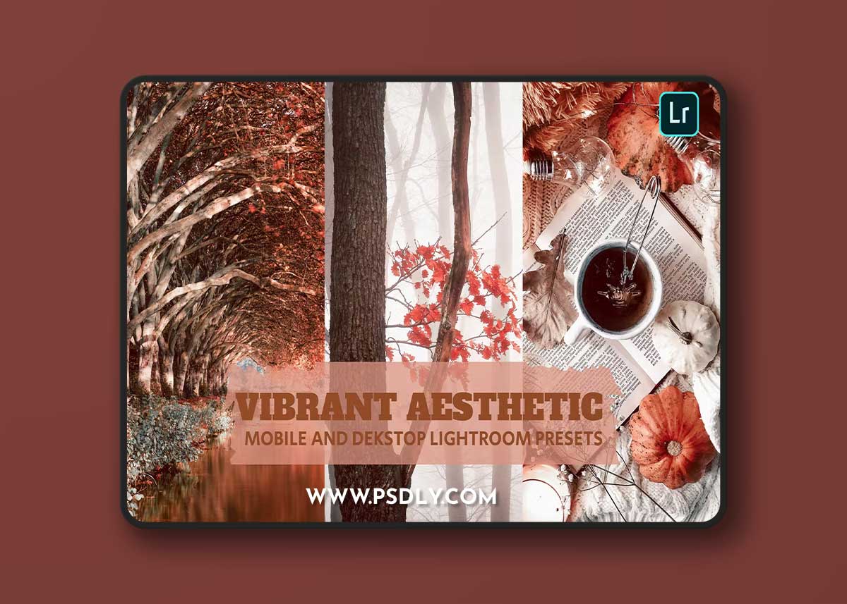 Vibrant Aesthetic Lightroom Presets Dekstop Mobile 1 Vibrant Aesthetic Lightroom Presets Dekstop Mobile