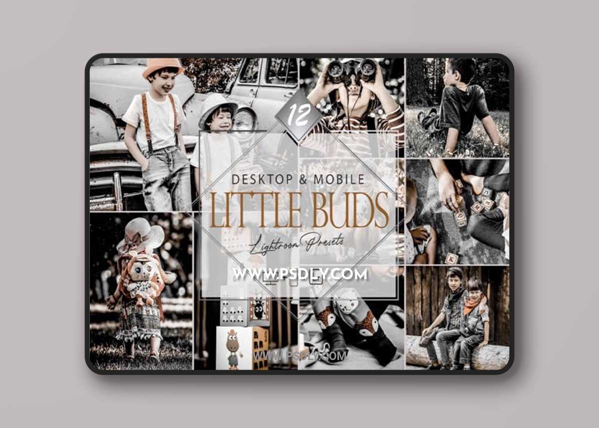 12 Little Buds Lightroom Presets, Moody 1 12 Little Buds Lightroom Presets, Moody