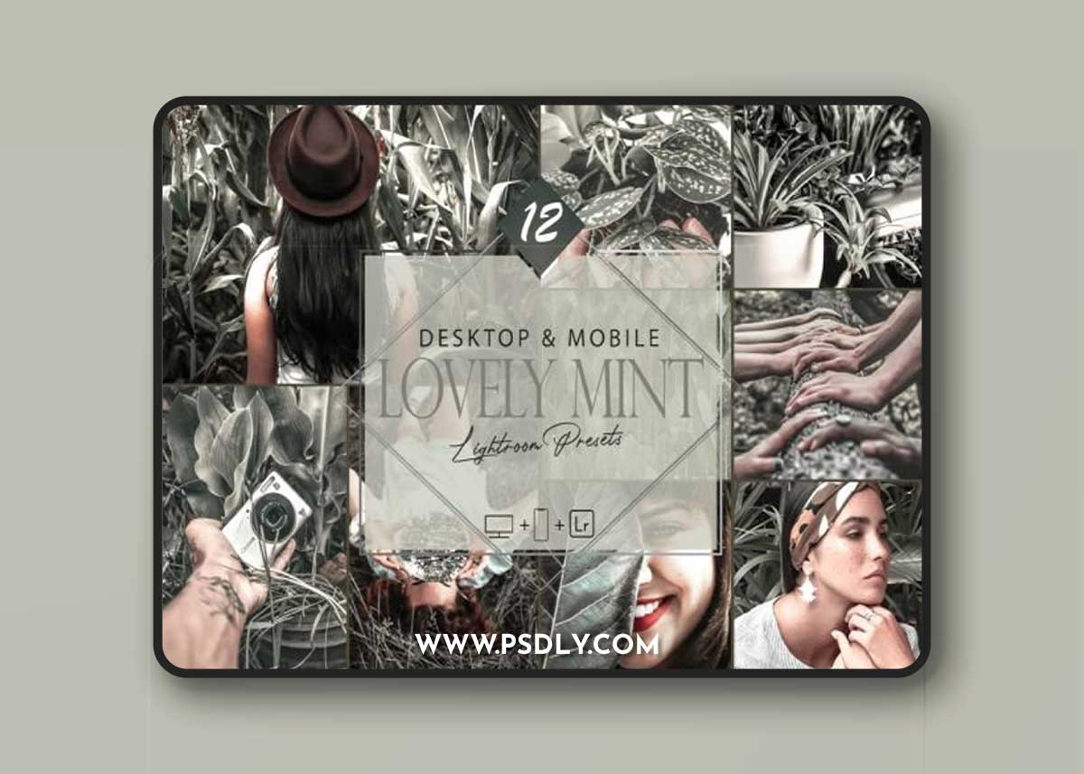 12 Lovely Mint Lightroom Presets, Spring 1 12 Lovely Mint Lightroom Presets, Spring