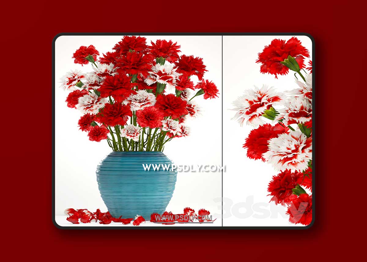 Collection of flowers 13. Carnation 3D Model 1 Collection of flowers 13. Carnation 3D Model