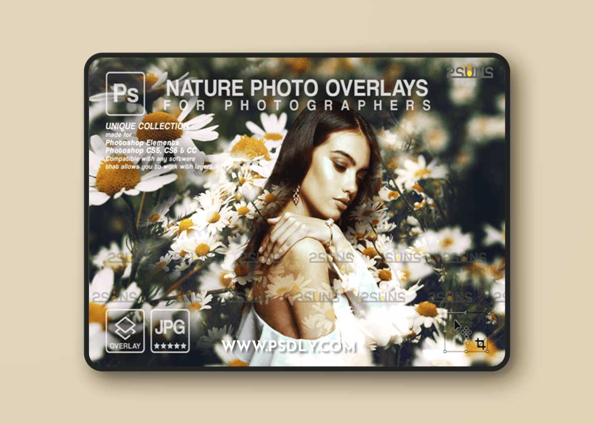 Digital Flower Backdrop, Flower Overlay 1 Digital Flower Backdrop, Flower Overlay