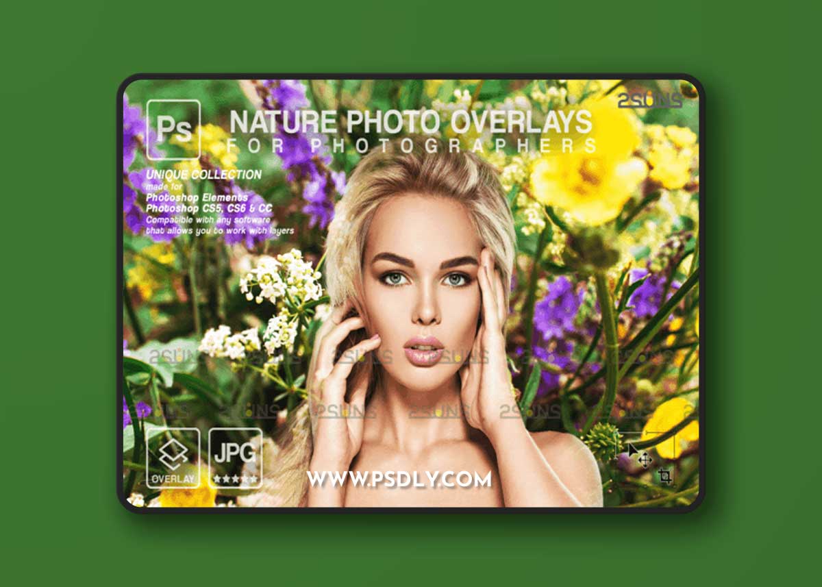 Digital Flower Backdrop, Flower Overlays 1 Digital Flower Backdrop, Flower Overlays