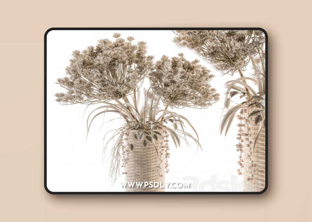 Dry plants 22 - dried Bouquet in Wicker Basket Vase 3D Model 1 Dry plants 22 - dried Bouquet in Wicker Basket Vase 3D Model