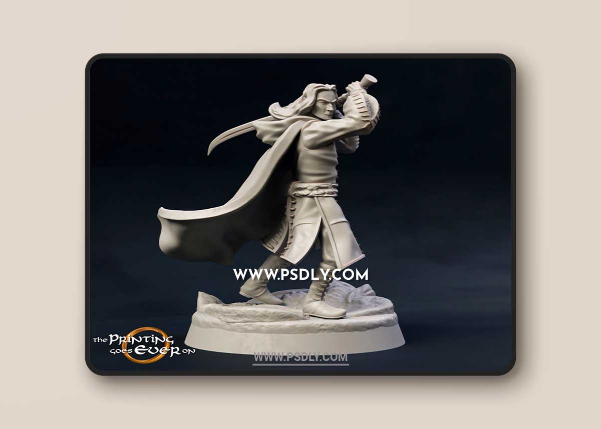 Elven Hero Golloccel 3D Print Model 1 Elven Hero Golloccel 3D Print Model