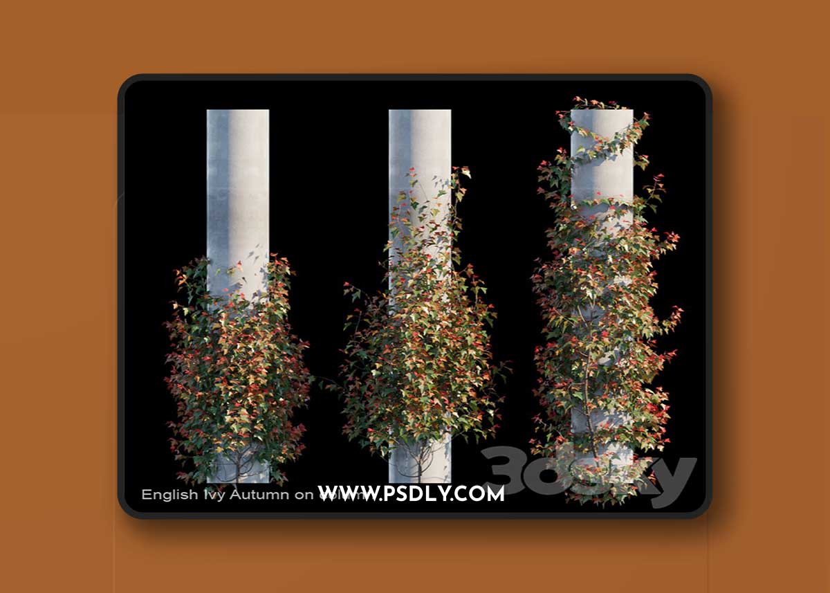 English Ivy Autumn on column 3D Model 1 English Ivy Autumn on column 3D Model