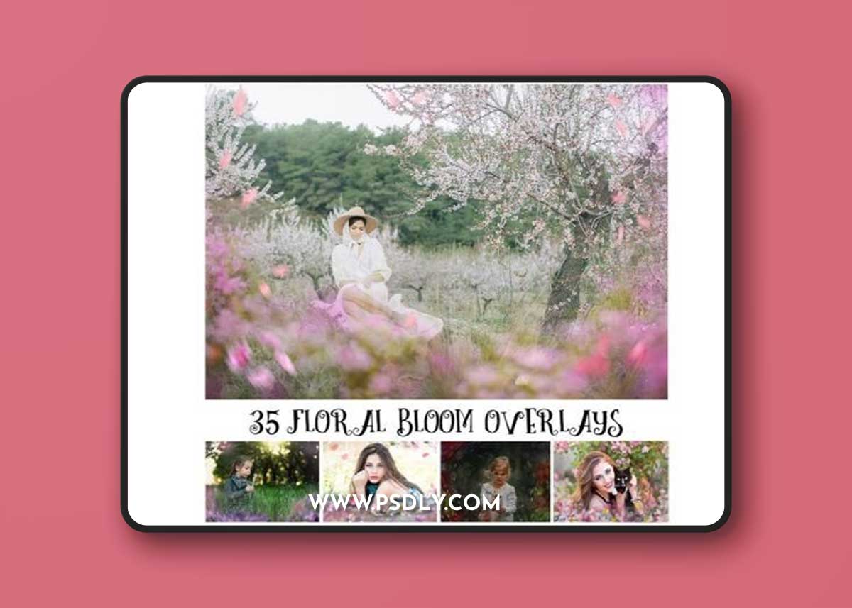 Floral Bloom Overlays, Spring Overlays 1 Floral Bloom Overlays, Spring Overlays