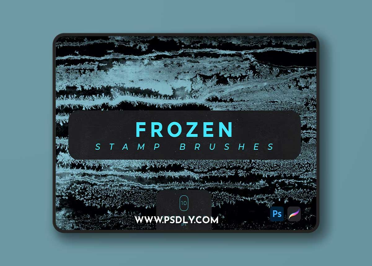 Frozen Stamp Brushes EHLF2WP 1 Frozen Stamp Brushes EHLF2WP