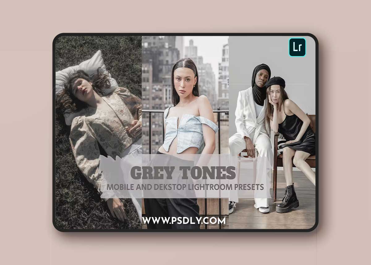 Grey Tones Lightroom Presets Dekstop and Mobile 1 Grey Tones Lightroom Presets Dekstop and Mobile