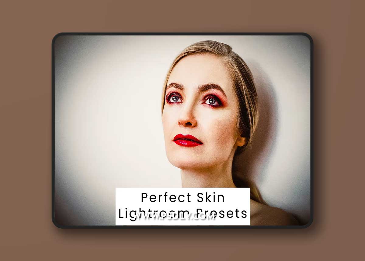 Perfect Skin Lightroom Presets 1 Perfect Skin Lightroom Presets