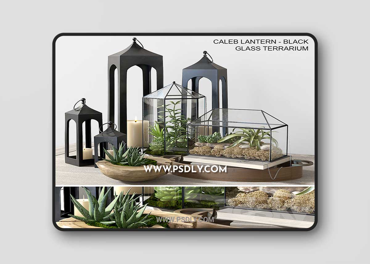 Pottery barn GLASS TERRARIUM 3D Model 1 Pottery barn GLASS TERRARIUM 3D Model