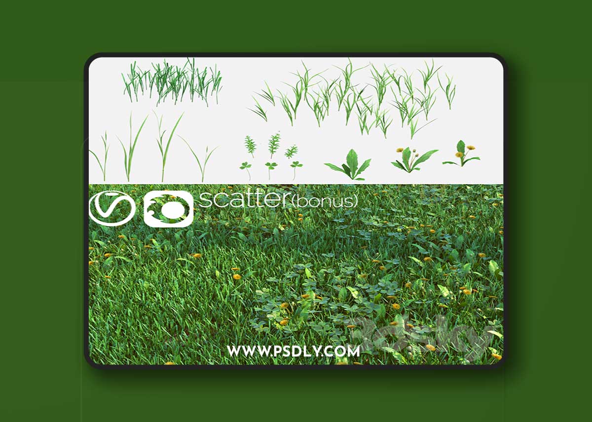 Set for the creation of field grass and lawns 3D Model 1 Set for the creation of field grass and lawns 3D Model