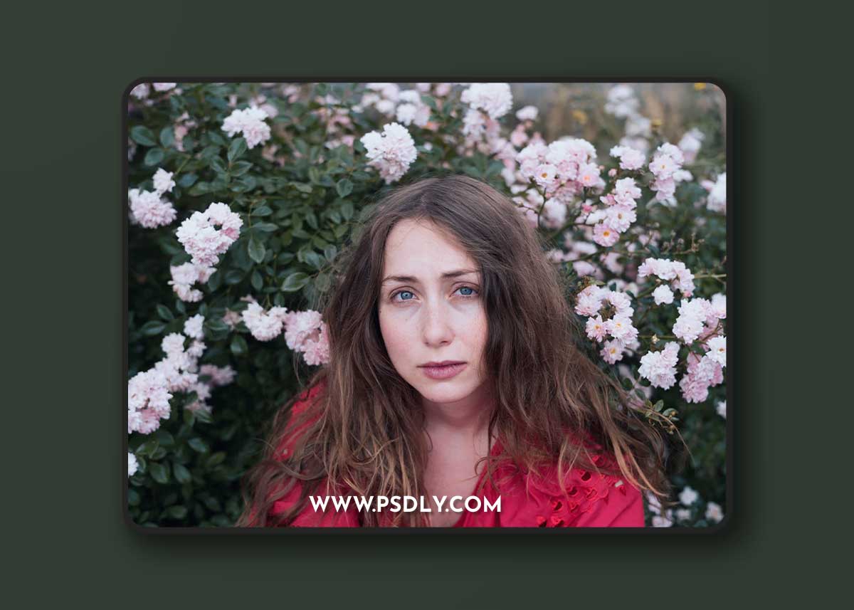 The Classic Presets - Classic CineStock Profiles for Lightroom 1 The Classic Presets - Classic CineStock Profiles for Lightroom