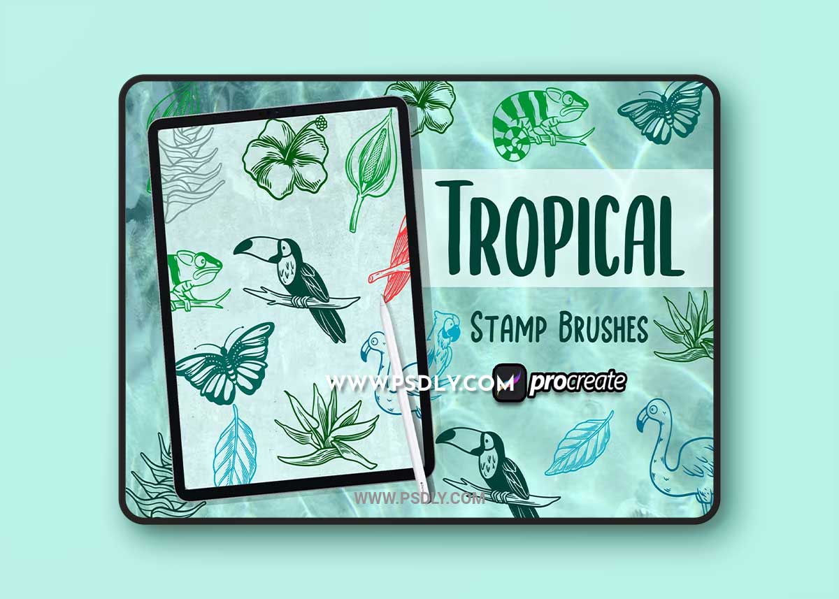 Tropical element Brush Stamp WV4R4VX 1 Tropical element Brush Stamp WV4R4VX