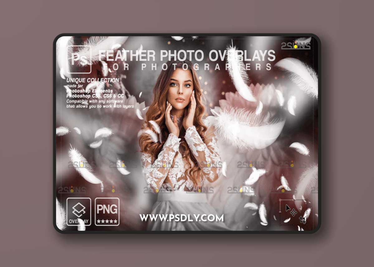 White Feather Photo Overlays PNG 1 White Feather Photo Overlays PNG