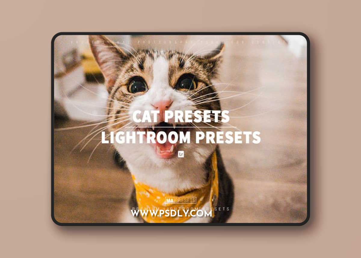 10 CAT Lightroom Presets 1 10 CAT Lightroom Presets