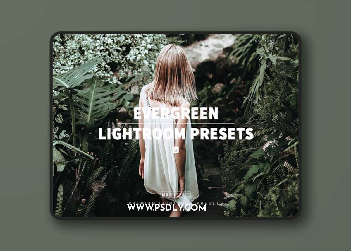 10 EVERGREEN Lightroom Presets 1 10 EVERGREEN Lightroom Presets