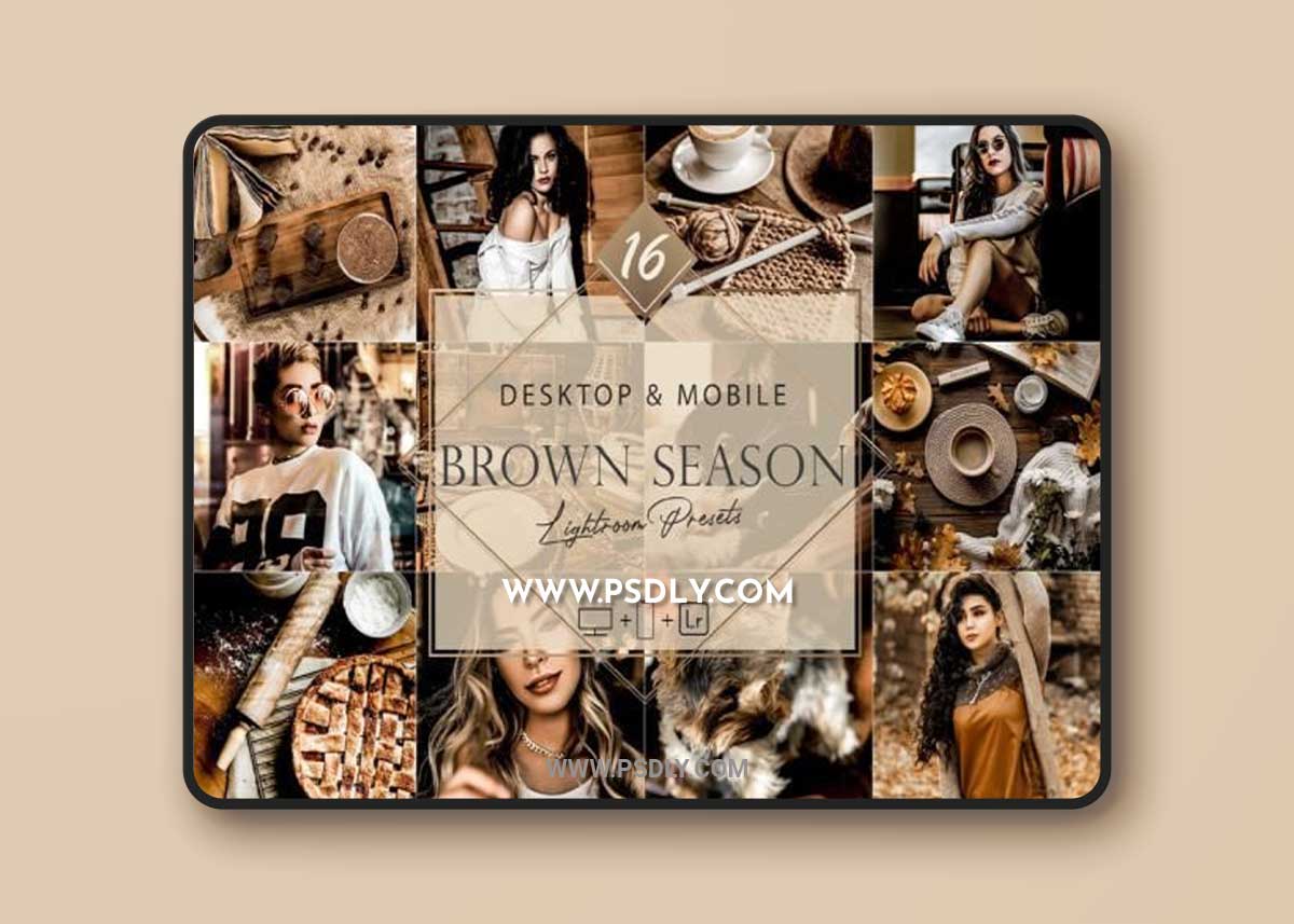 16 Brown Season Lightroom Presets, Moody 1 16 Brown Season Lightroom Presets, Moody