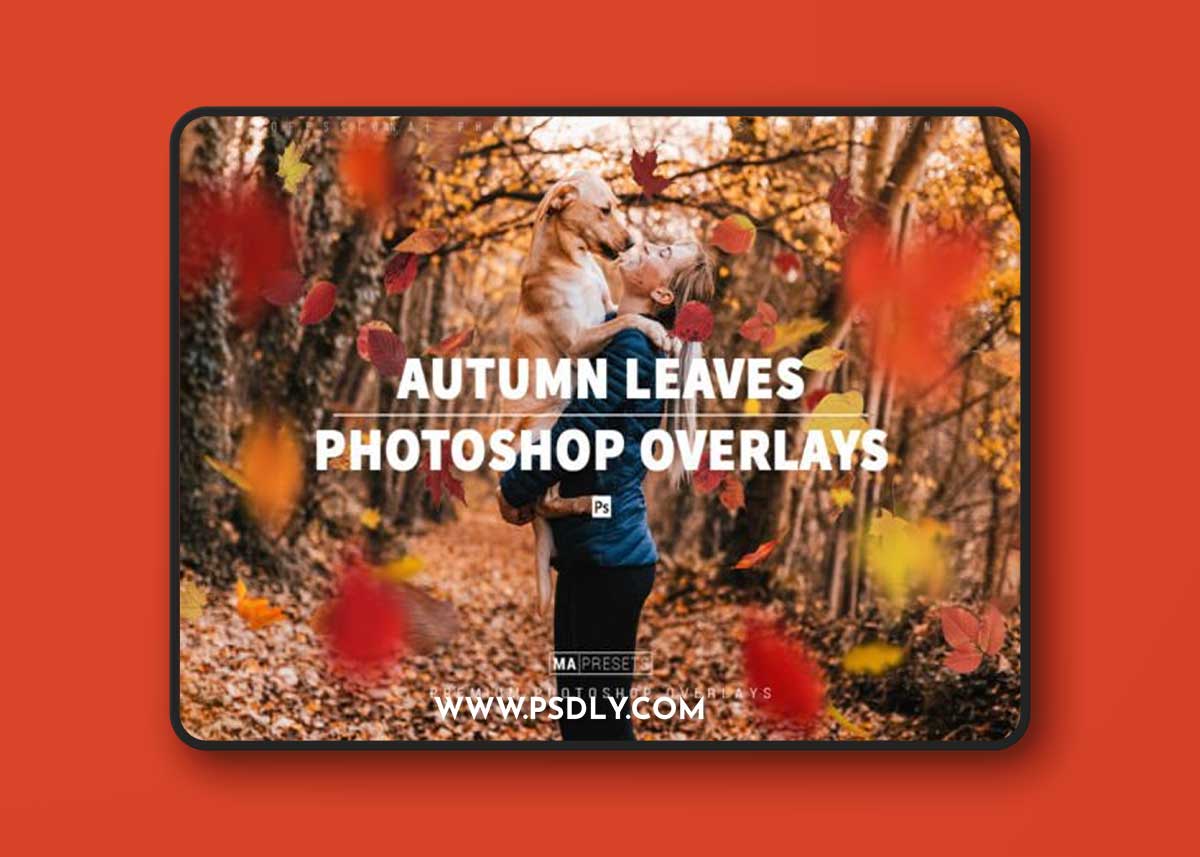 70 AUTUMN LEAVES OVERLAYS 1 70 AUTUMN LEAVES OVERLAYS