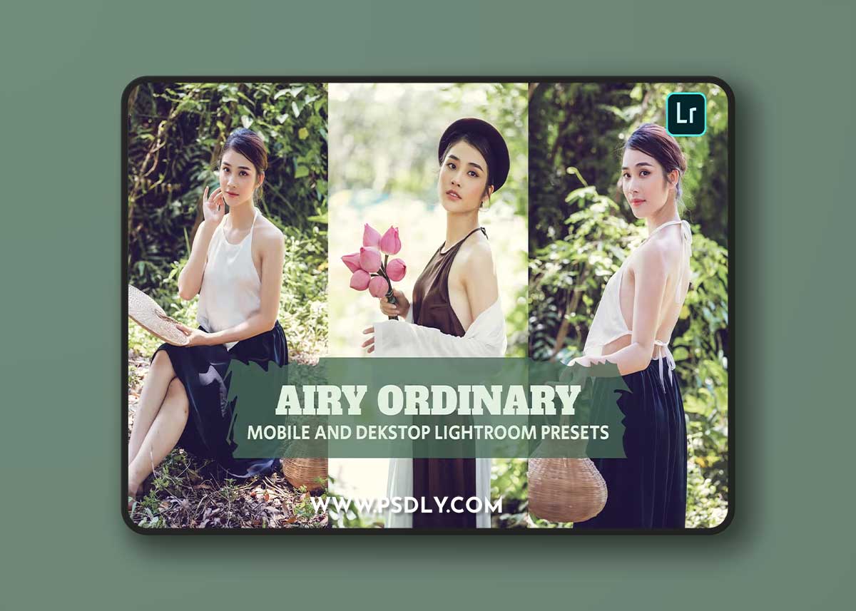 Airy Ordinary Lightroom Presets Dekstop and Mobile 1 Airy Ordinary Lightroom Presets Dekstop and Mobile