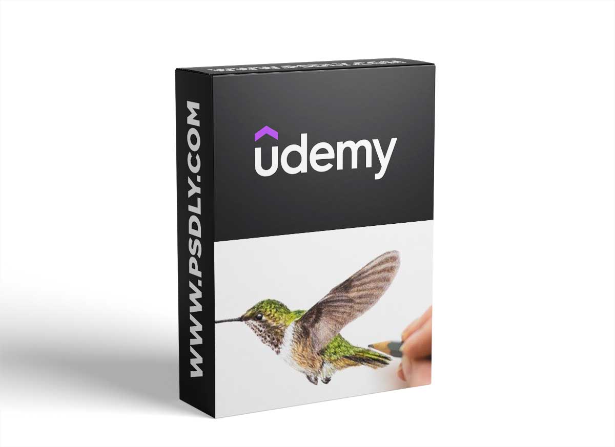 Colored Pencil Hummingbird Drawing Class 1 Colored Pencil Hummingbird Drawing Class
