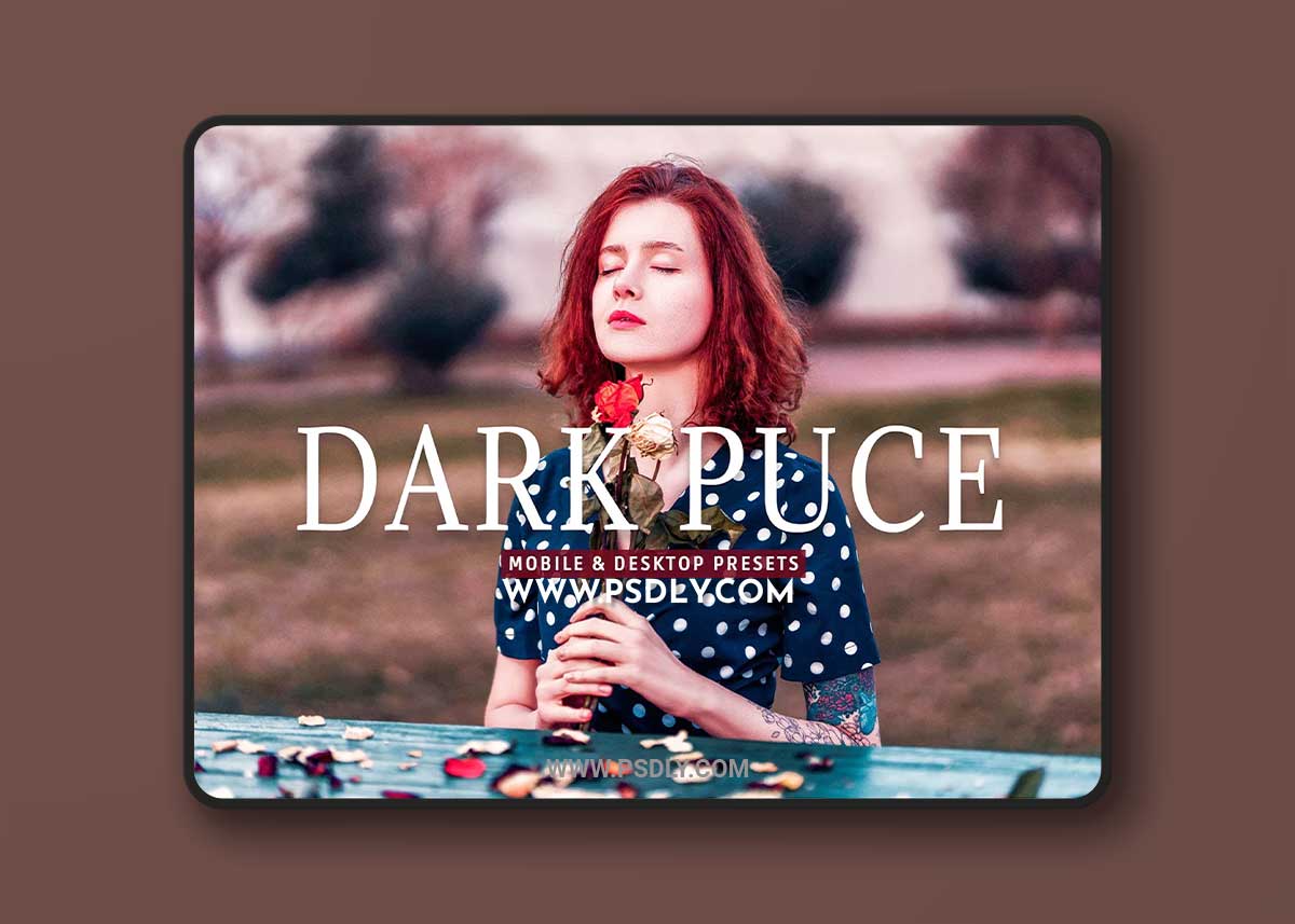 CreativeMarket - Dark Puce Pro Lightroom Presets 7375238 1 CreativeMarket - Dark Puce Pro Lightroom Presets 7375238