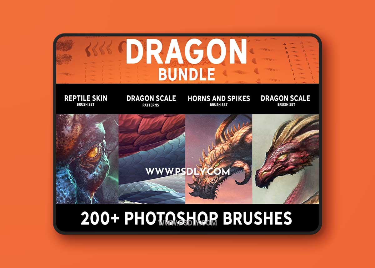 CreativeMarket - Dragon bundle 5273533 1 CreativeMarket - Dragon bundle 5273533
