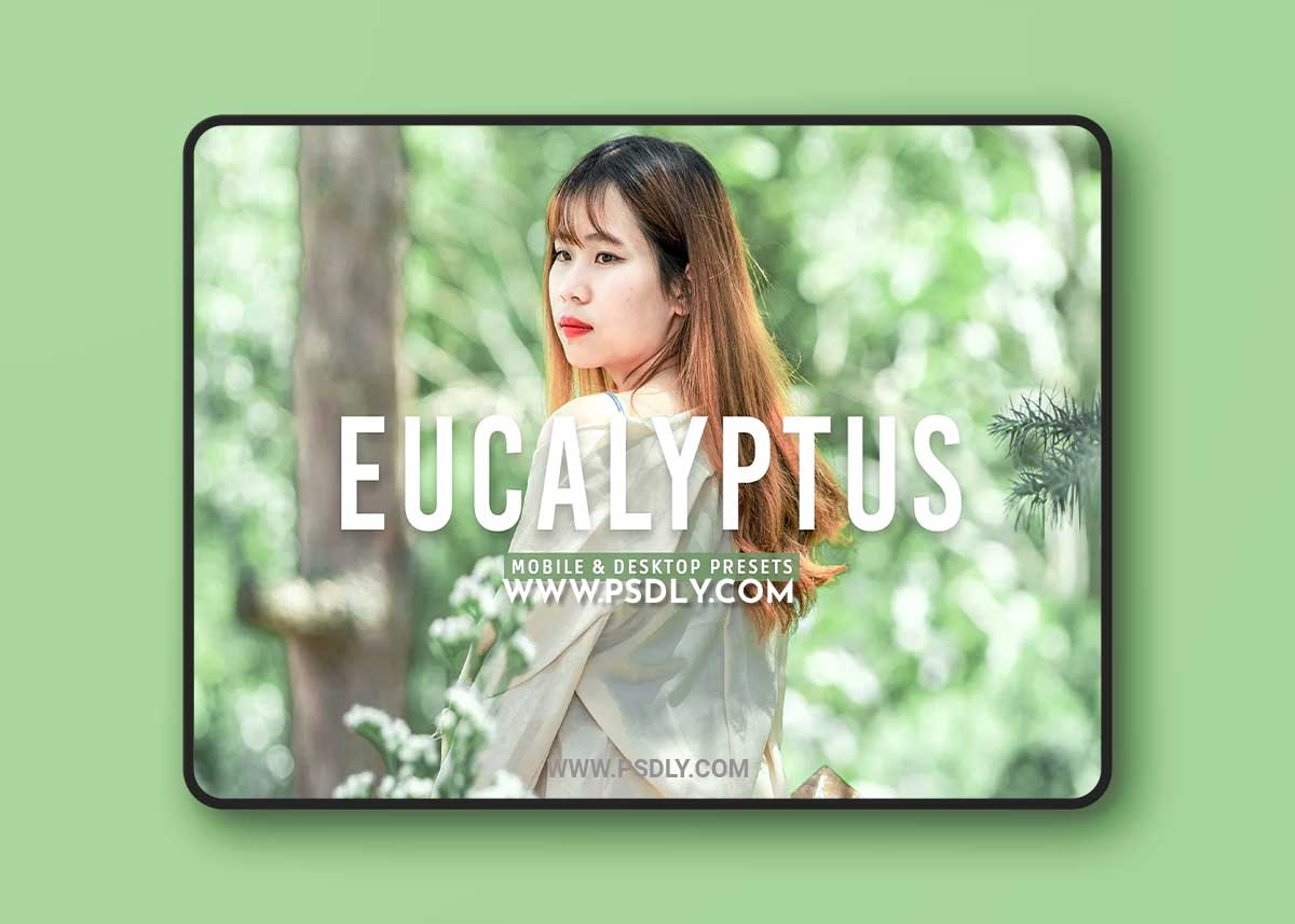 CreativeMarket - Eucalyptus Pro Lightroom Presets 7375252 1 CreativeMarket - Eucalyptus Pro Lightroom Presets 7375252