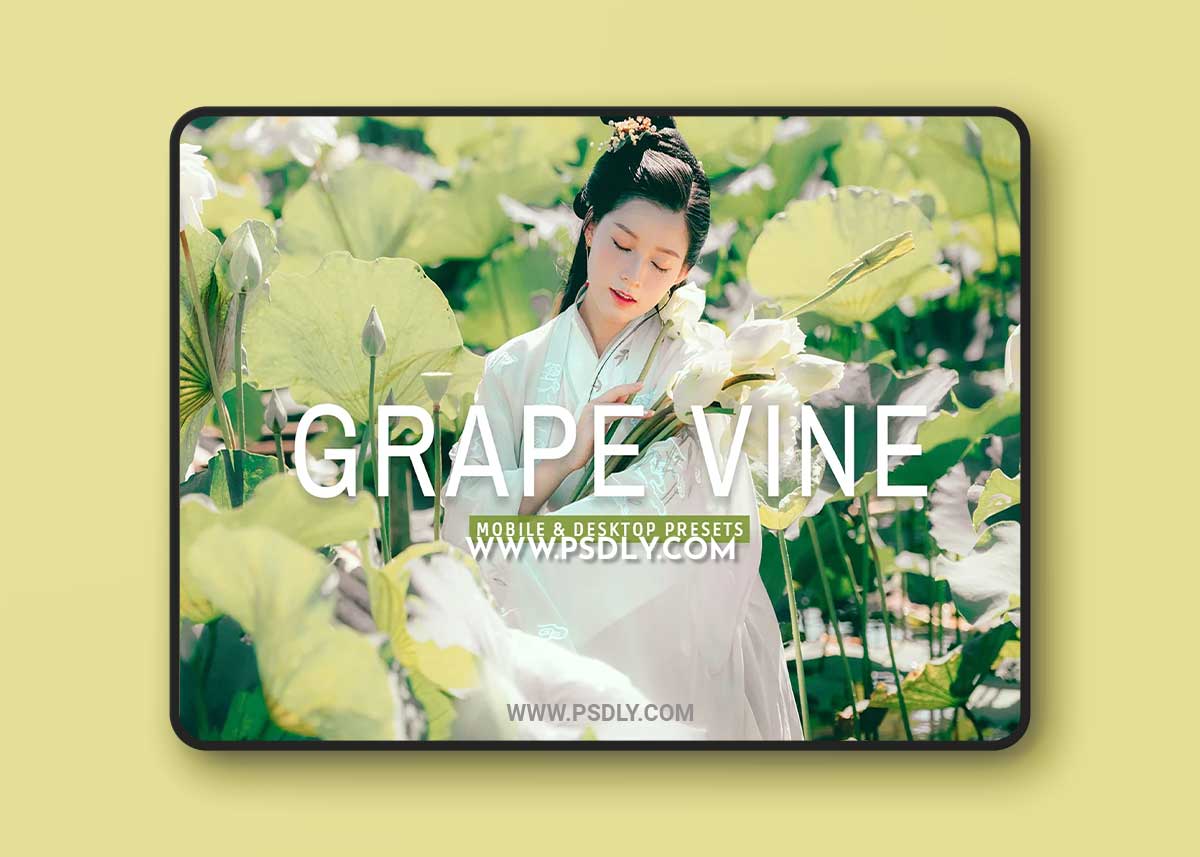 CreativeMarket - Grape Vine Pro Lightroom Presets 7389010 1 CreativeMarket - Grape Vine Pro Lightroom Presets 7389010