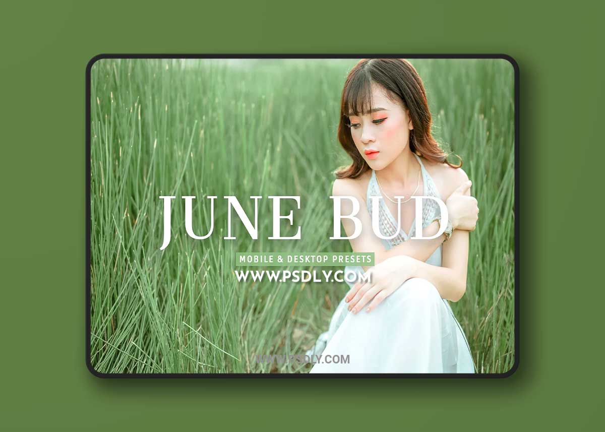 CreativeMarket - June Bud Pro Lightroom Presets 7375260 1 CreativeMarket - June Bud Pro Lightroom Presets 7375260