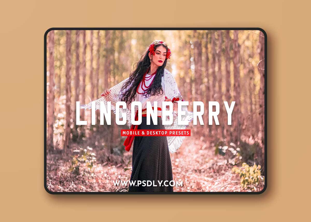 CreativeMarket - Lingonberry Pro Lightroom Presets 7403893 1 CreativeMarket - Lingonberry Pro Lightroom Presets 7403893