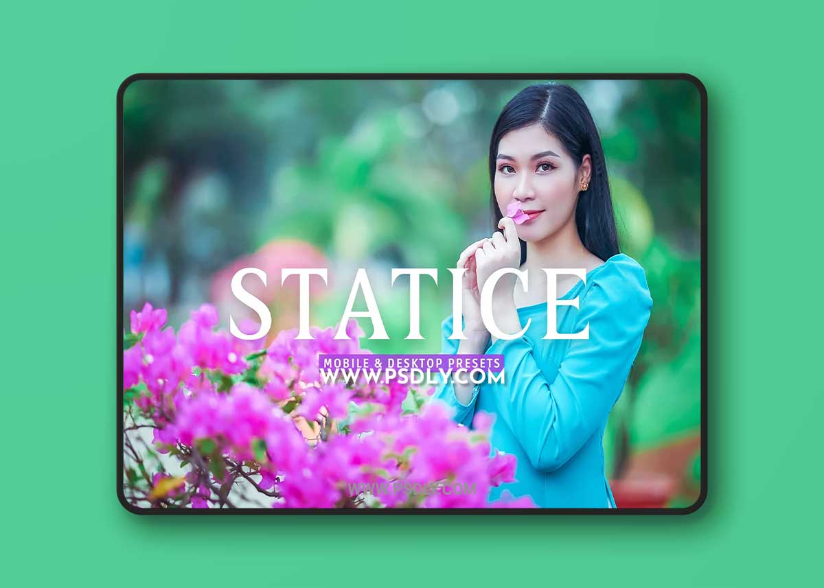 CreativeMarket - Statice Pro Lightroom Presets 7387228 1 CreativeMarket - Statice Pro Lightroom Presets 7387228