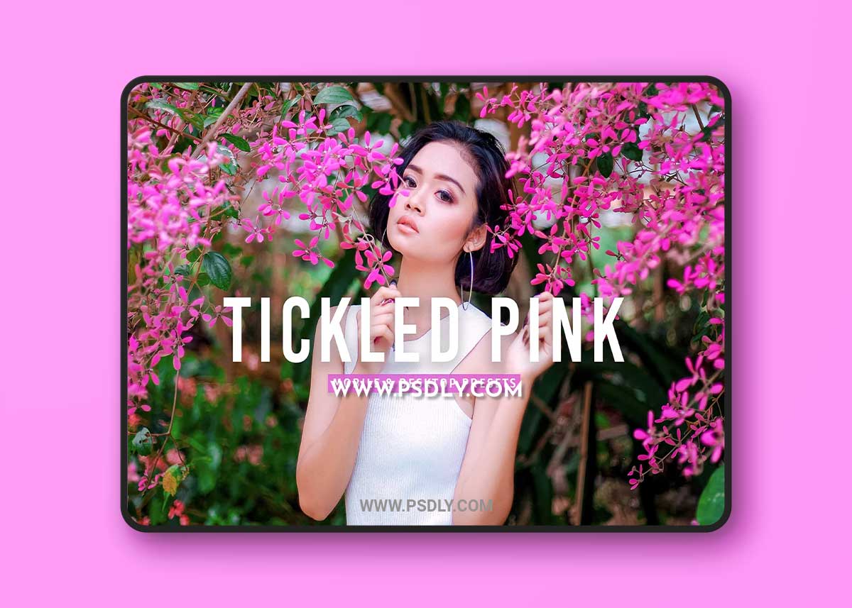 CreativeMarket - Tickled Pink Pro Lightroom Presets 7387232 1 CreativeMarket - Tickled Pink Pro Lightroom Presets 7387232