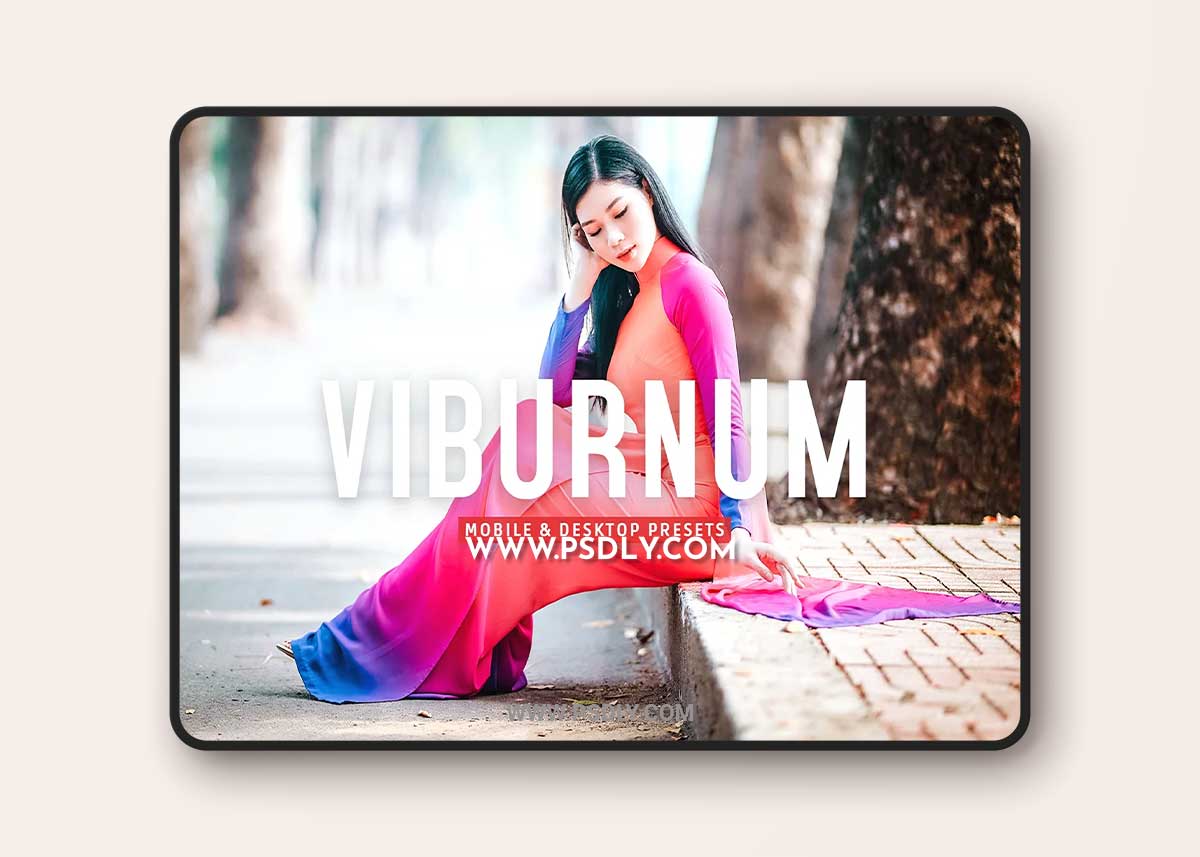 CreativeMarket - Viburnum Pro Lightroom Presets 7387234 1 CreativeMarket - Viburnum Pro Lightroom Presets 7387234