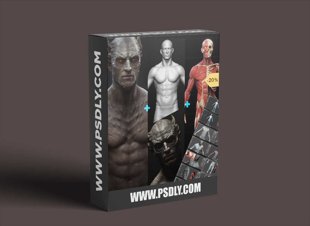Design And Anatomy Package 1 Design And Anatomy Package