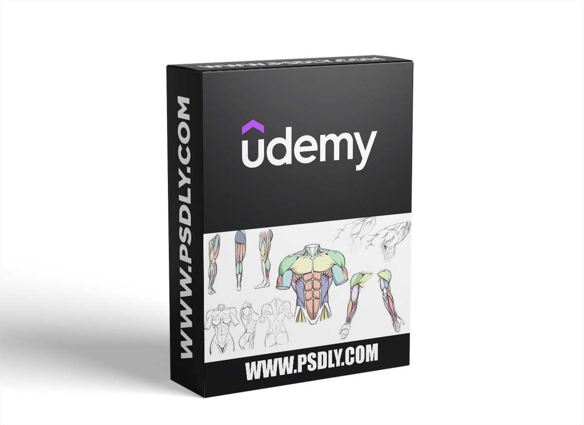 How To Draw Dynamic Anatomy - Step By Step 1 How To Draw Dynamic Anatomy - Step By Step