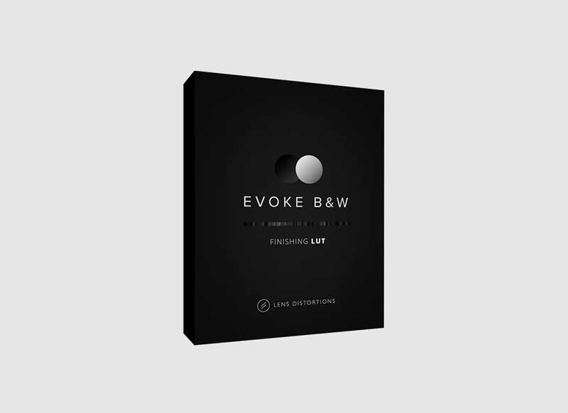 Lens Distortions - EVOKE B&W Cinematic LUTs 1 Lens Distortions - EVOKE B&W Cinematic LUTs