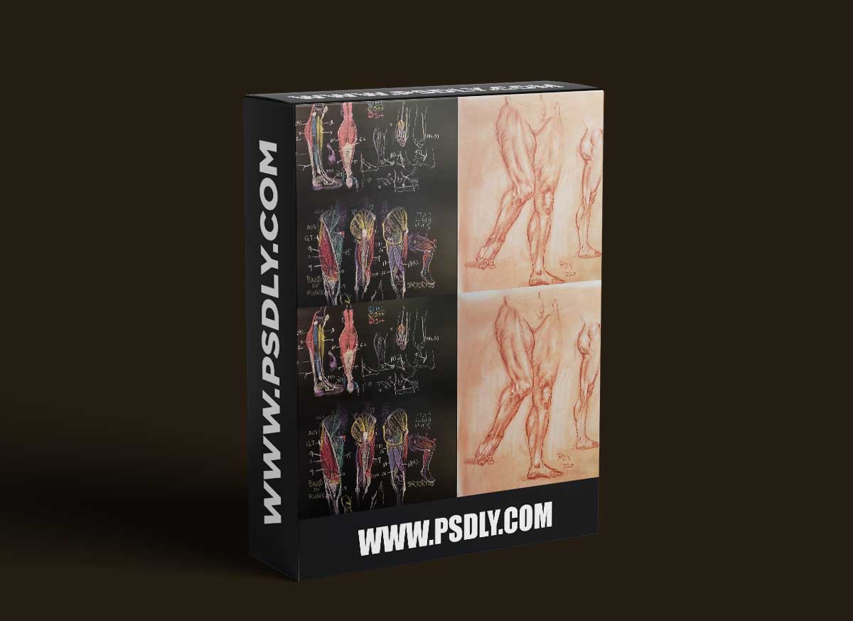 The Gnomon Workshop - Anatomy for Artists Volume 2 Understanding the Leg and Foot 1 The Gnomon Workshop - Anatomy for Artists Volume 2 Understanding the Leg and Foot