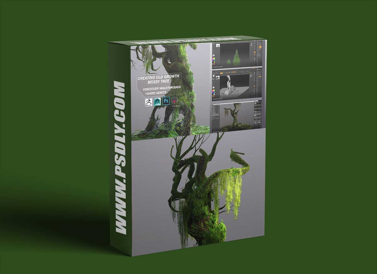 Artstation – Creating Old Growth Mossy Tree: Tutorial and Game Assets 1 Artstation – Creating Old Growth Mossy Tree: Tutorial and Game Assets