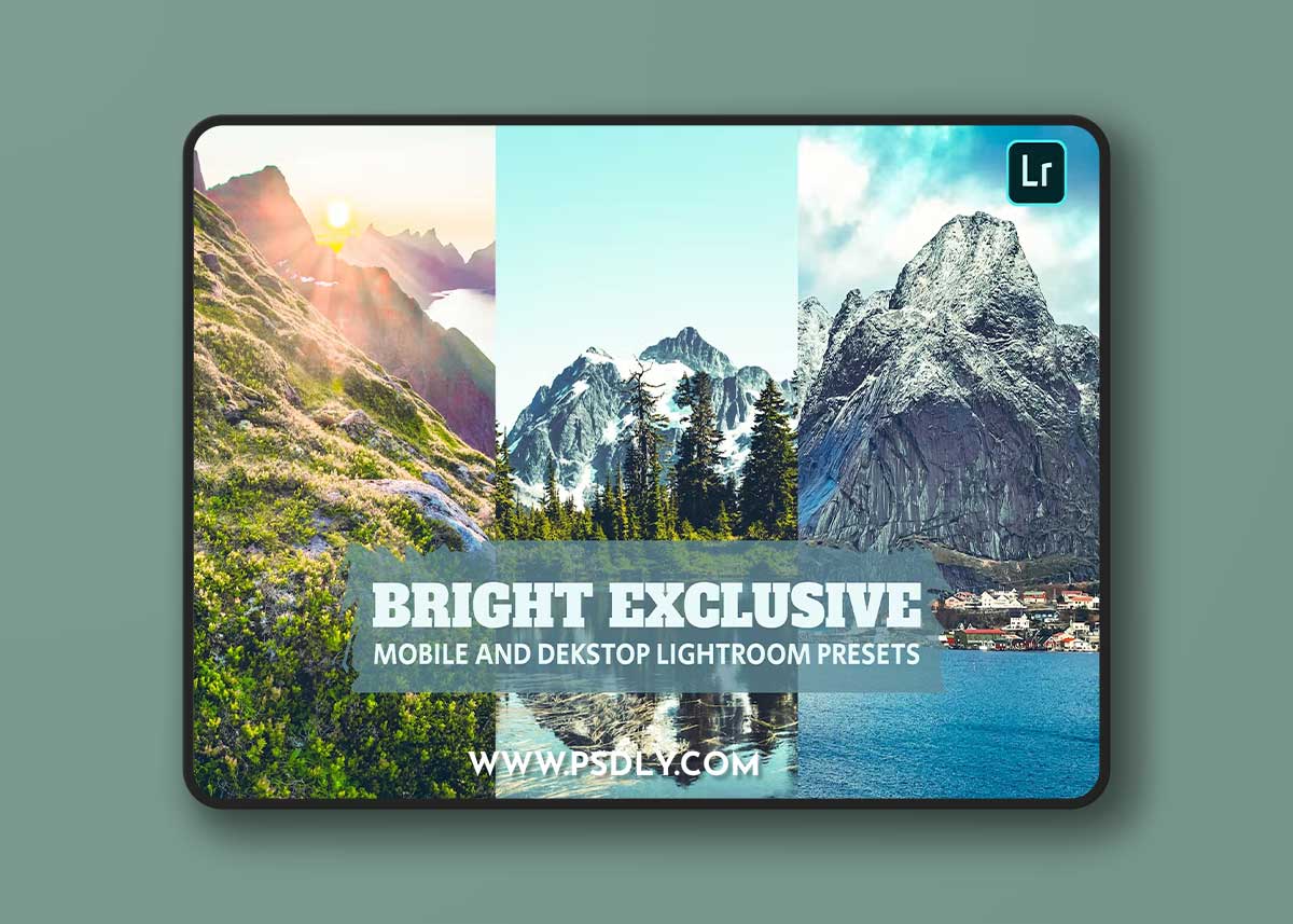 Bright Exclu Lightroom Presets Dekstop Mobile File 1 Bright Exclu Lightroom Presets Dekstop Mobile File