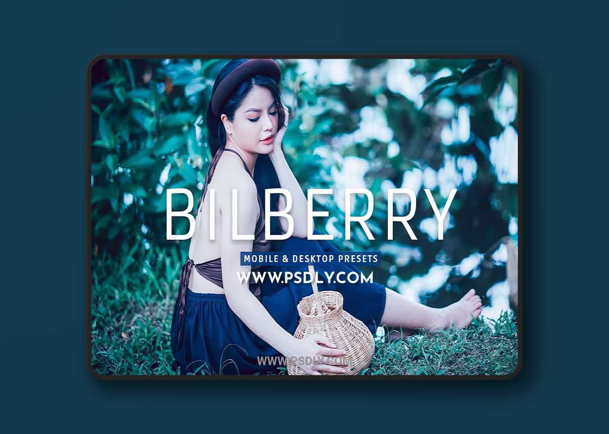 CreativeMarket - Bilberry Pro Lightroom Presets 7469776 1 CreativeMarket - Bilberry Pro Lightroom Presets 7469776