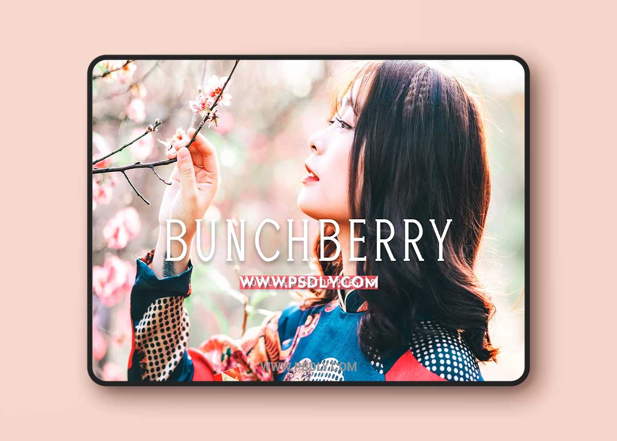 CreativeMarket - Bunchberry Pro Lightroom Presets 7469777 1 CreativeMarket - Bunchberry Pro Lightroom Presets 7469777