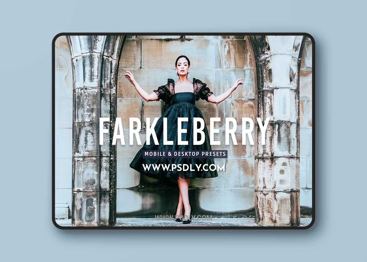 CreativeMarket - Farkleberry Pro Lightroom Presets 7469788 1 CreativeMarket - Farkleberry Pro Lightroom Presets 7469788
