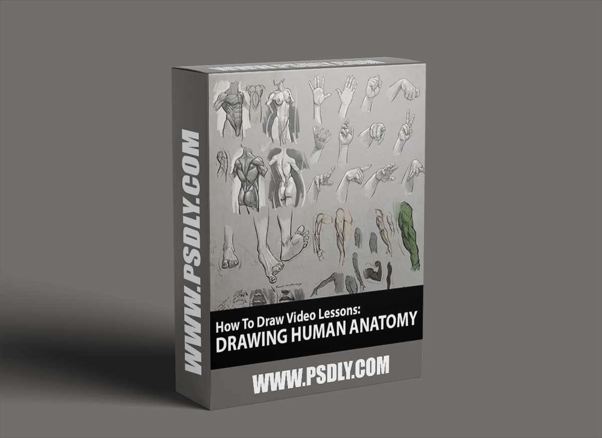 How to Draw: Drawing Human Anatomy by Aaron Blaise 1 How to Draw: Drawing Human Anatomy by Aaron Blaise