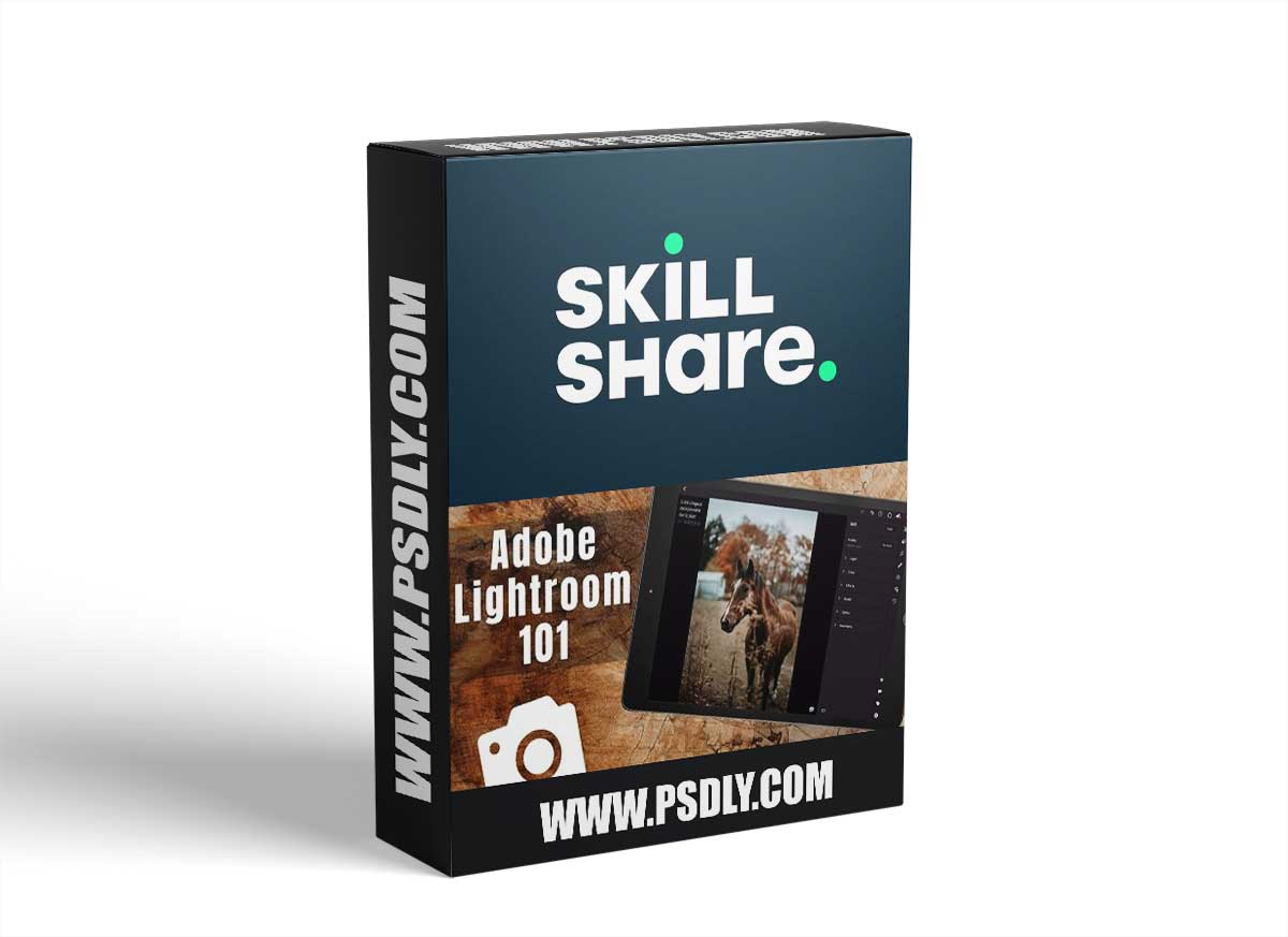 Learn Lightroom on Your iPad: How to edit professional photos 1 Learn Lightroom on Your iPad: How to edit professional photos