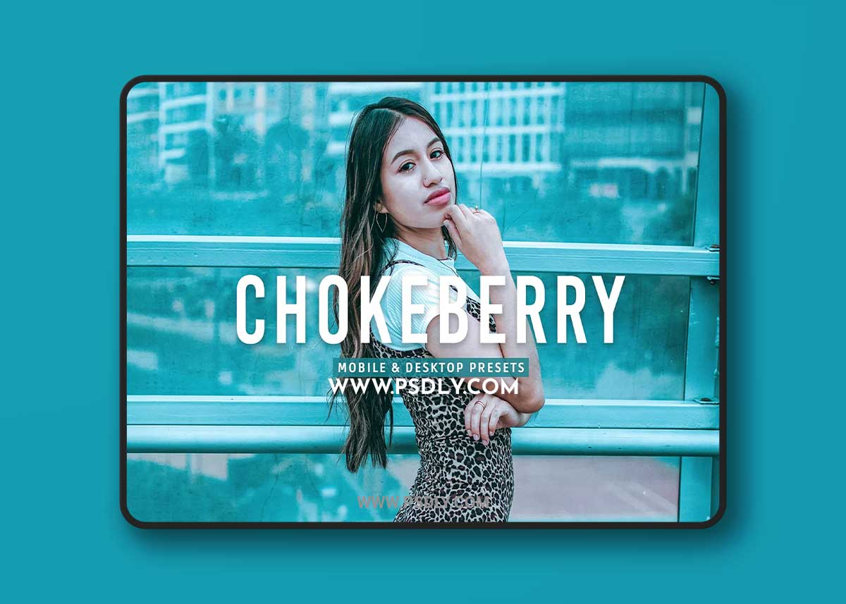 CreativeMarket - Chokeberry Pro Lightroom Presets 7469780 1 CreativeMarket - Chokeberry Pro Lightroom Presets 7469780