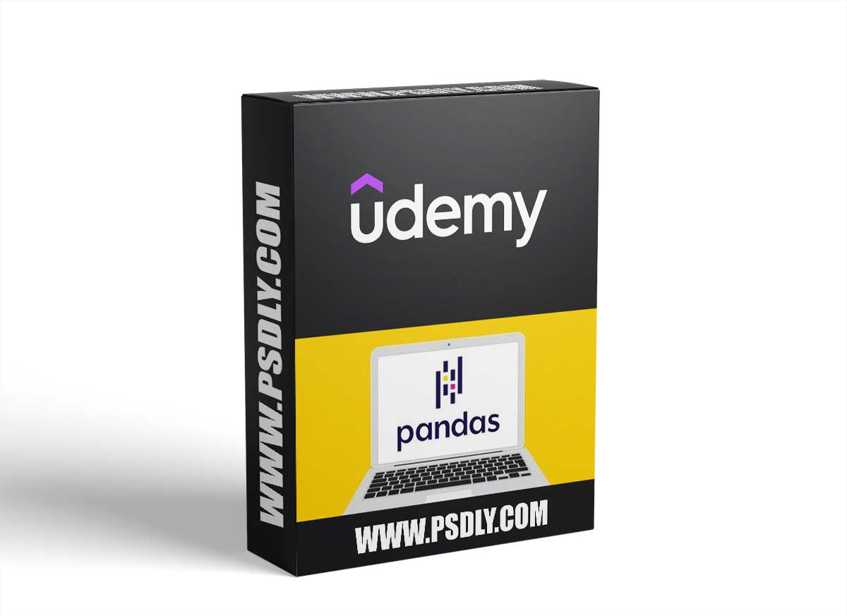 Python Data Analysis: Pandas Library for Beginners 1 Python Data Analysis: Pandas Library for Beginners