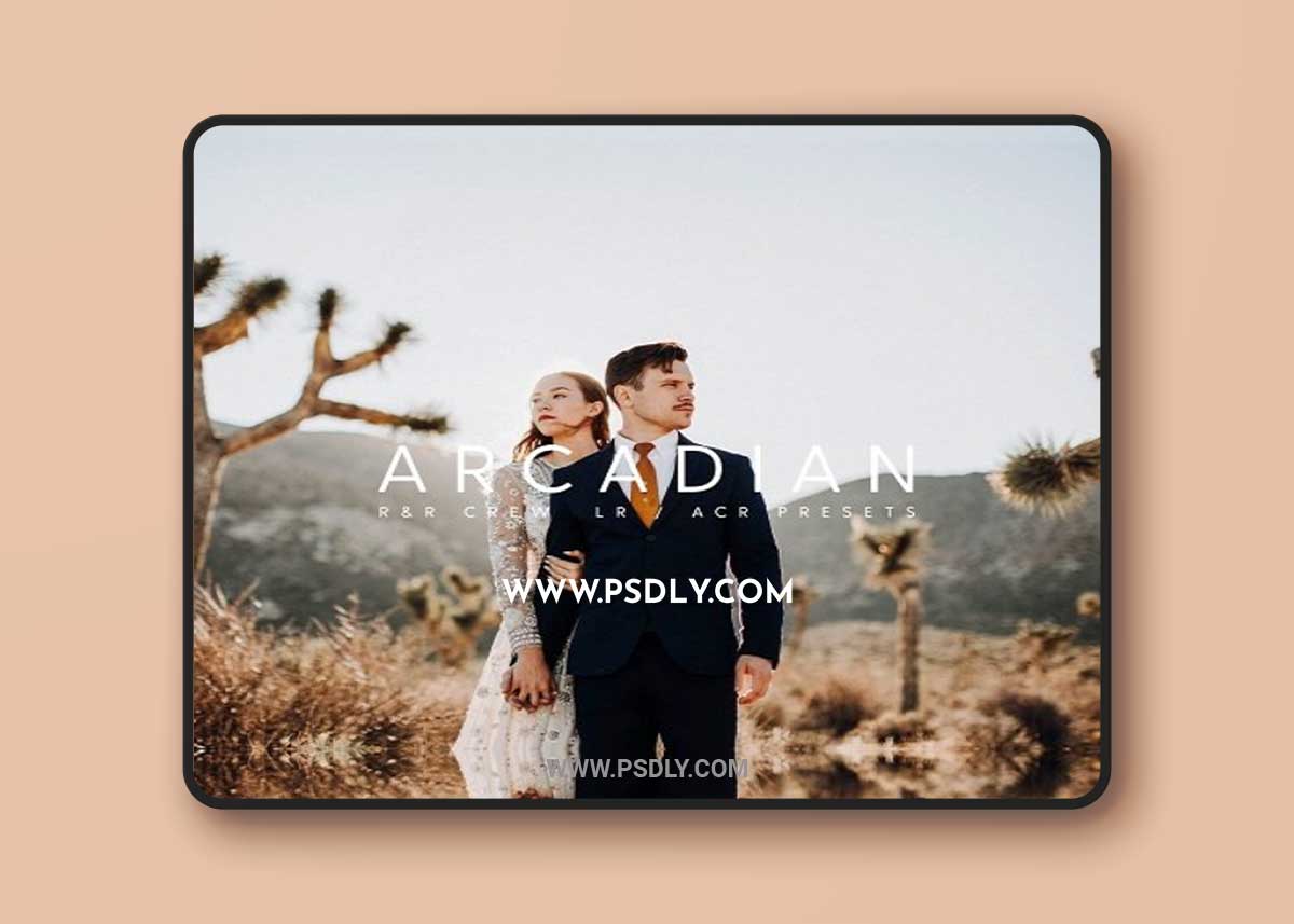 Rooke & Rover Crew - Arcadian Collection 1 Rooke & Rover Crew - Arcadian Collection