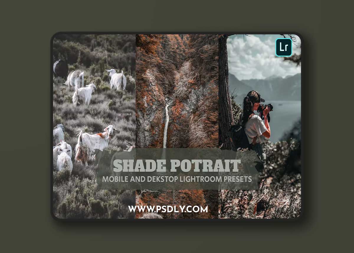 Shade Potrait Lightroom Presets Dekstop and Mobile GWWBPWF 1 Shade Potrait Lightroom Presets Dekstop and Mobile GWWBPWF