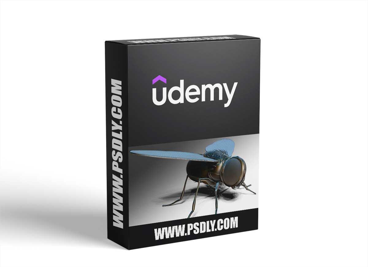 Zbrush Online Course Sculpting And Modelling "The Fly" 1 Zbrush Online Course Sculpting And Modelling "The Fly"